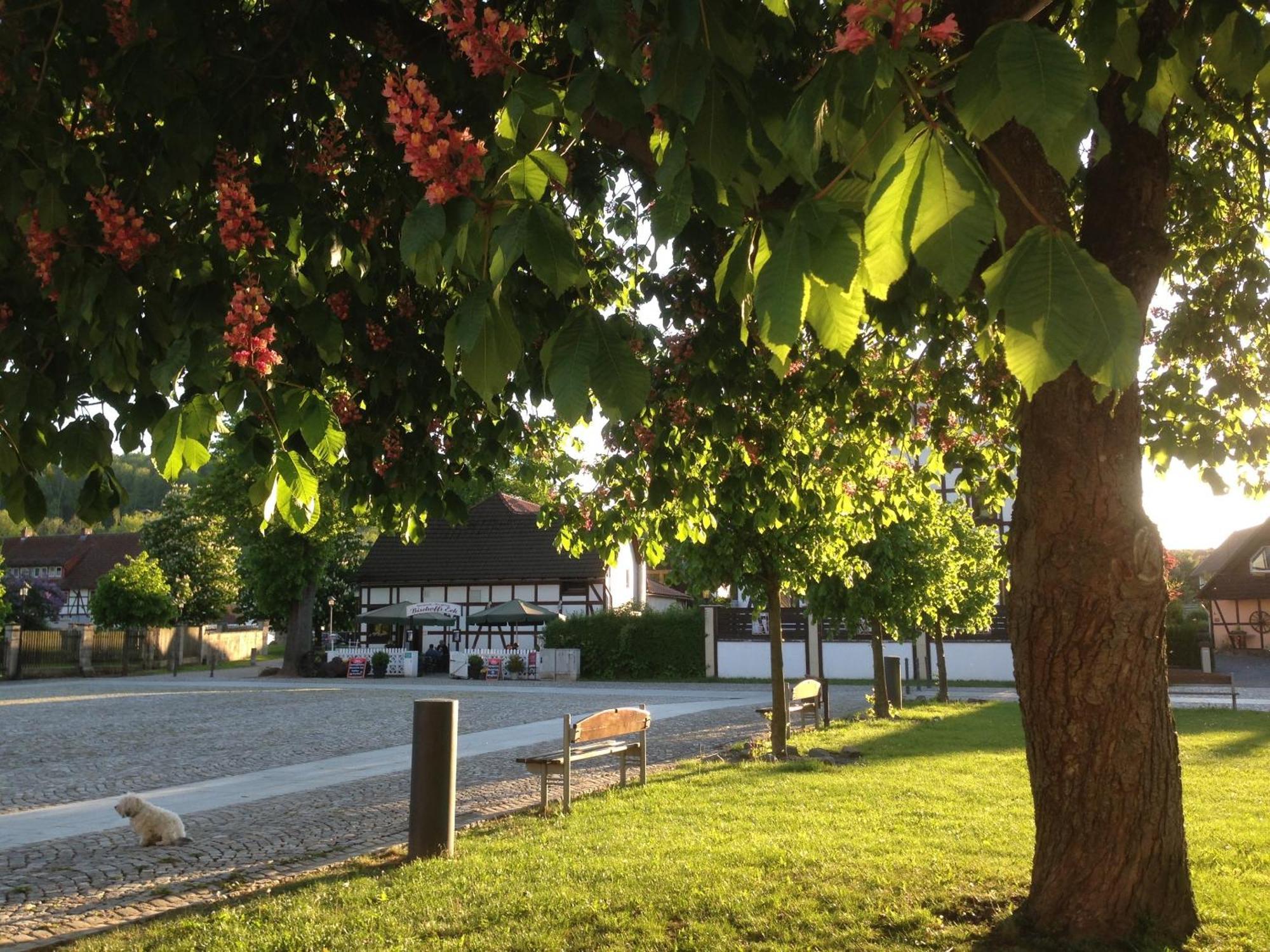 Klosterhotel Walkenried ภายนอก รูปภาพ